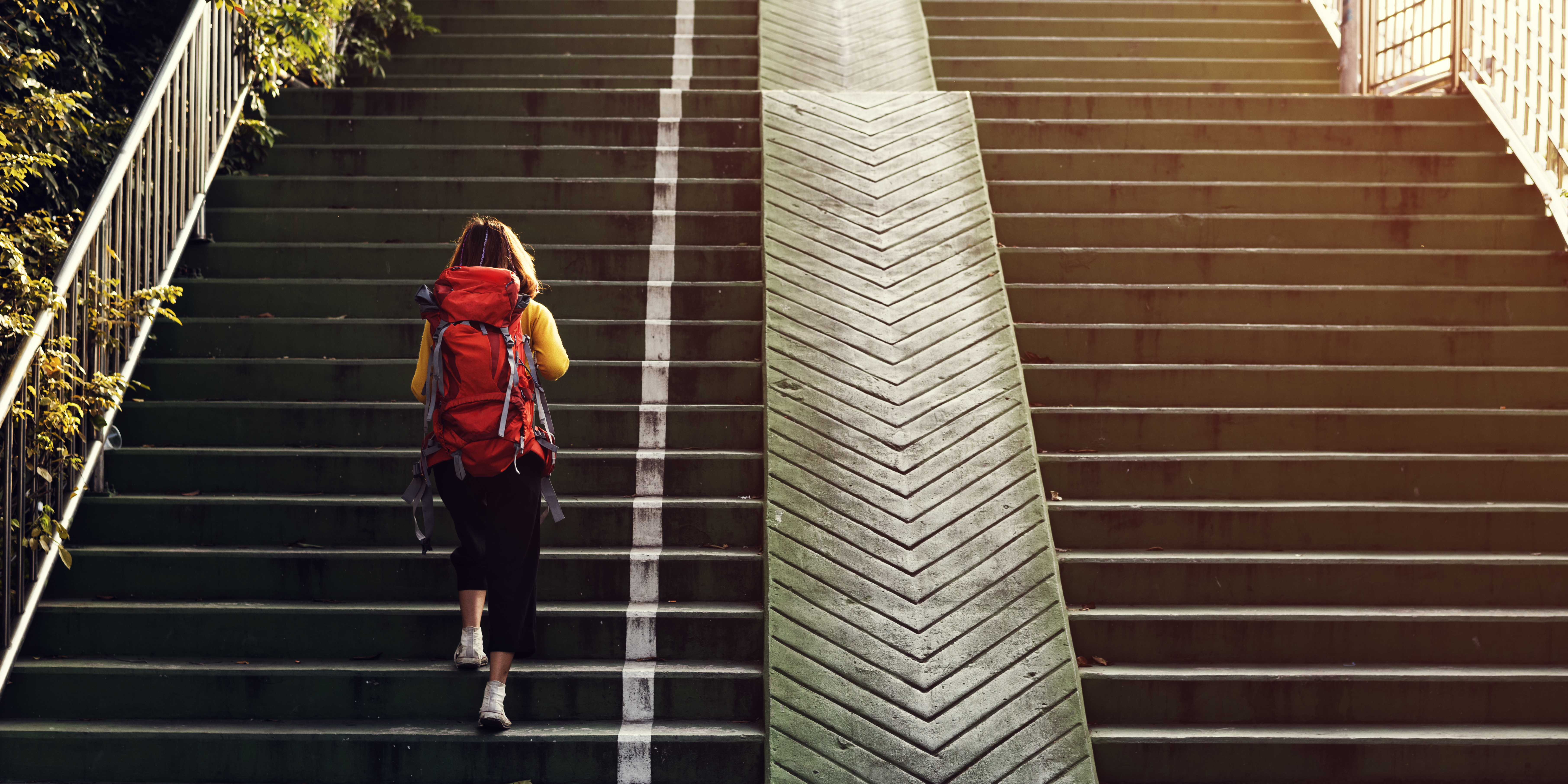 Career pathway workshop